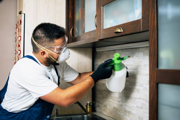 Insect Control in Gratton, VA