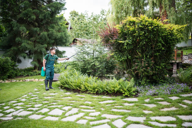 Best Wildlife Control Services  in Gratton, VA