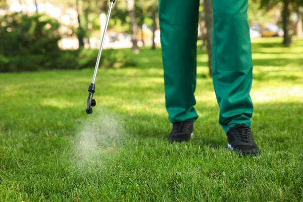 Professional Pest Control in Gratton, VA