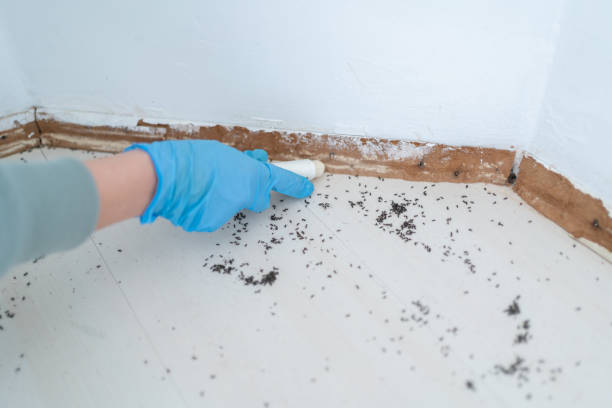 Wildlife Control Services in Gratton, VA