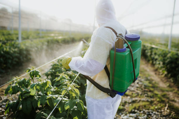 Best Pest Inspection Near Me  in Gratton, VA